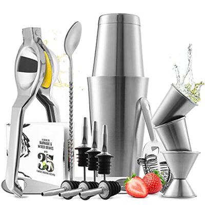 Bar Set Cocktail Shaker Set Stainless Steel Mixology Bartender Kit 16 Piece