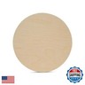 Wood Plywood Circles 8 inch, 1/4 Inch Thick, Round Wood Cutouts, Pack of 5 Baltic Birch Unfinished Wood Plywood Circles for Crafts, by Woodpeckers