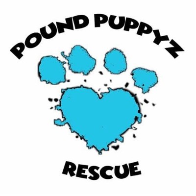 Pound PuppyZ