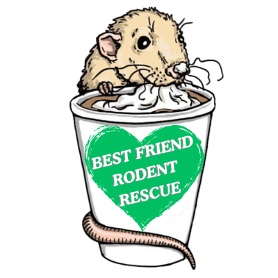Best Friend Rodent Rescue