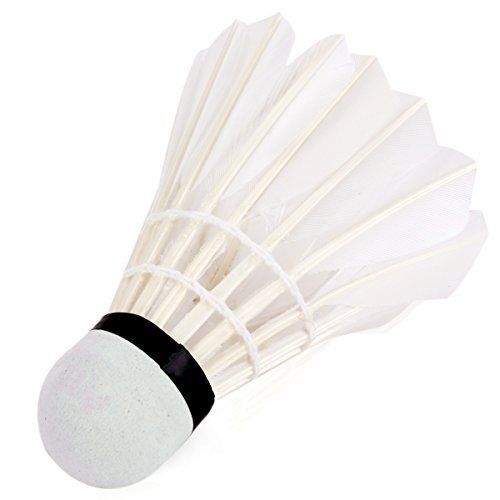 OPITEC - LOISIRS SCIENCES CREATIVITE  PiNAO Sports volants de badminton en  plume