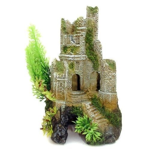 Wurzeln und Gehölze als Dekorationen für Aquarien