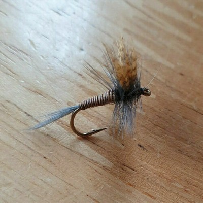 Fly Fishing Straight Hook Hot Collar Olive Quill Buzzers size 12 Set of 3
