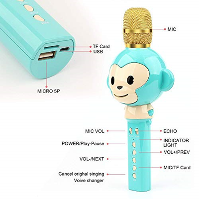 LingHui Kids Microphone Wireless Bluetooth Karaoke Microphone , 3-in-1 Portable