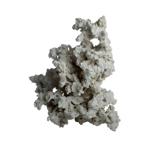 Aquarium Coral & Live Rock for sale eBay