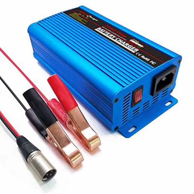 24 volt trickle battery cheap charger