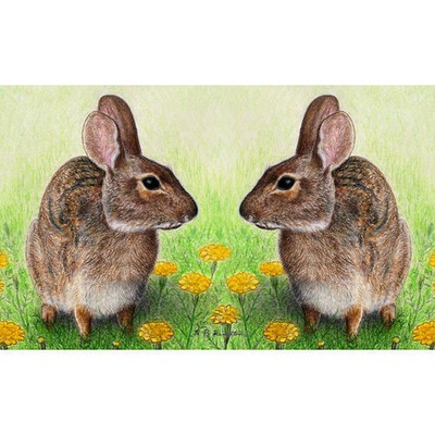 Betsy Drake Rabbits 30 X 50 Inch Comfort Floor Mat