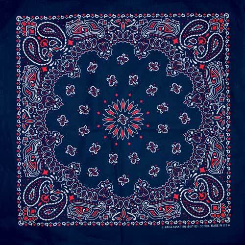 Carolina Creative Bandanna (Dark Blue/Red) Paisley Print 22" x 22" Hav-A-Hank