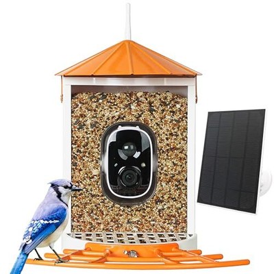 Smart Bird Feeder with Camera Solar, Auto Capture Bird Videos & Motion Orange