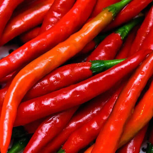 Cayenne Long Thin Pepper Seeds | Non-GMO | Free Shipping | Seed Store | 1005