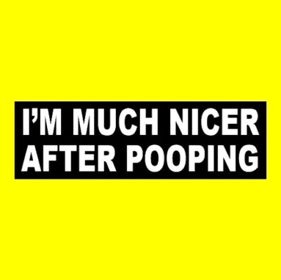 Funny ''I'M MUCH NICER AFTER POOPING'' decal BUMPER STICKER restroom bathroom