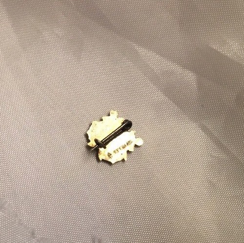 Vintage United States Coast Guard 1790 Pin  Sterling Silver Gold Plated Vermil