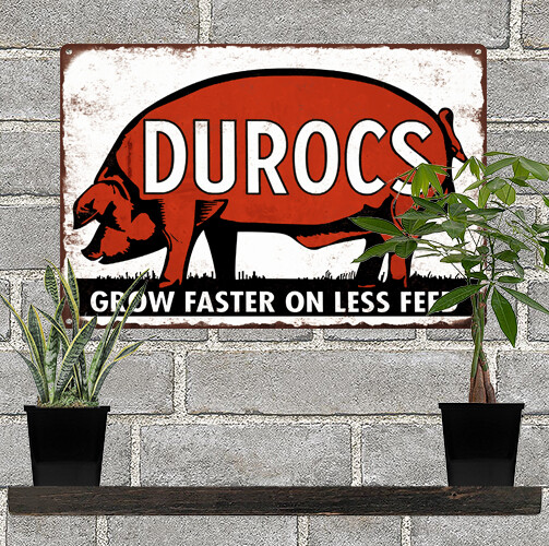 Durocs Pig Feed Man Cave Metal Sign Repro 8x12