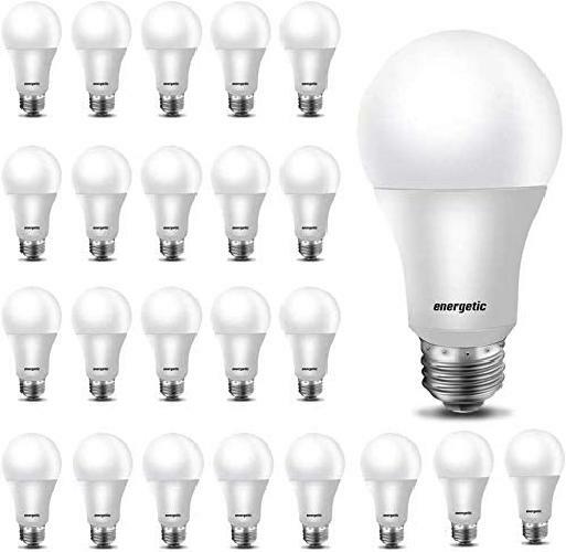 24 Pack A19 Led Light Bulb, 60 Watt Equivalent, Daylight 500