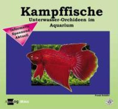 Kampffische Frank Schäfer Taschenbuch Aqualog Deutsch 2006 EAN 9783936027617