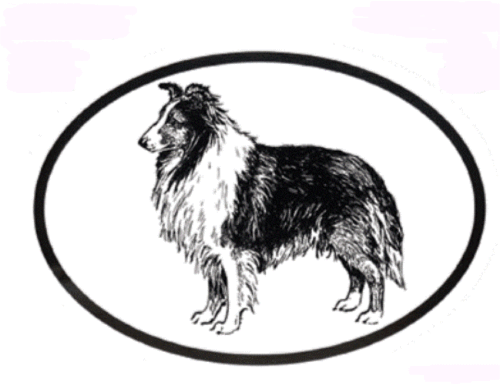 Shetland Sheepdog Decal - Dog Breed Oval Vinyl Black & White Window Sticker