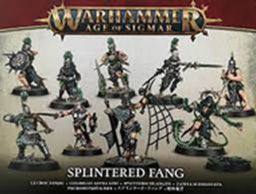 Warhammer AoS: Рабы Тьмы - Расколотый Клык