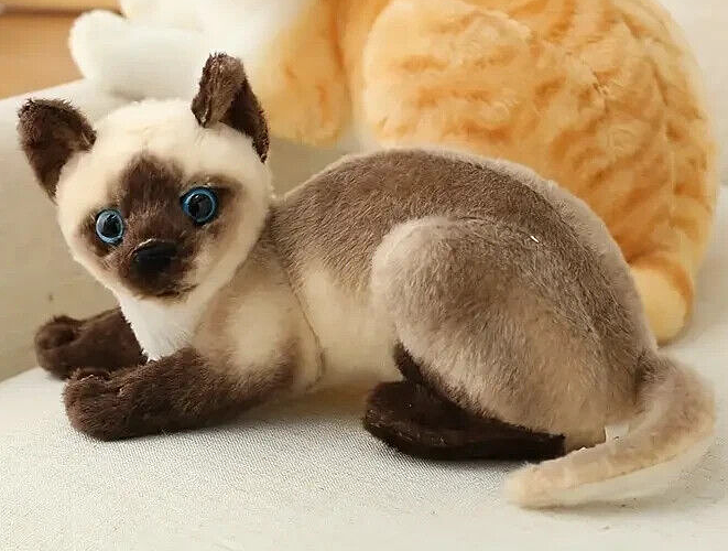 Siamese Cat 10 Inch Stuffed Animal Plush Toys Toddler Doll Kids Kitten Gifts E-3