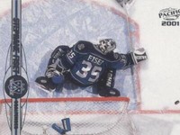 2000-01 Pacific - Stephane Fiset #196