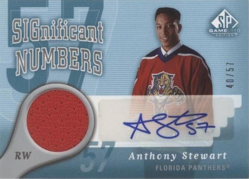2005-06 SP Game Used Edition - Anthony Stewart #SN-ST