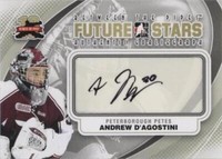 2011-12 In the Game Between the Pipes - Andrew D'agostini #A-AD