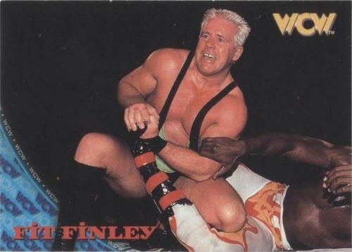 1998 Topps WCW/nWo - FIT Finlay #40