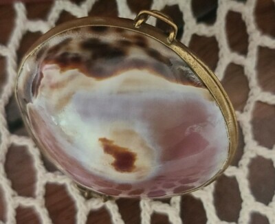 Clam Shell/Sea Shell ~ Ring Box~Pill Box~Coin Purse~Trinket Box~Locket ~ Hinged
