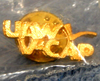Vintage UAW V-CAP Pin SEALED