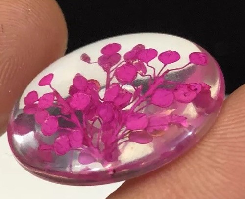 3 Large Vintage Lucite Buttons w Encased Hot Pink Plant Life So Unusual! 1 1/8