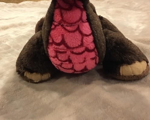 Ganz Webkinz  Cocoa Dinosaur HM338 NO CODE