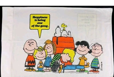 Vintage Charlie Brown Peanuts GANG Snoopy 1971 Pillow Case( 2 Pillow Cases)