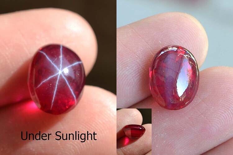 10.45 Ct 13.30x10.14 MM Red Ruby Star Sapphire 6 Rays Lab
