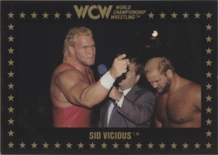 1991 Championship Marketing WCW - Sid Vicious #18