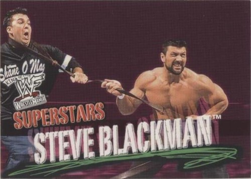 2001 Fleer WWF Wrestlemania - Steve Blackman #33