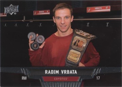 2013-14 Upper Deck - Radim Vrbata #294