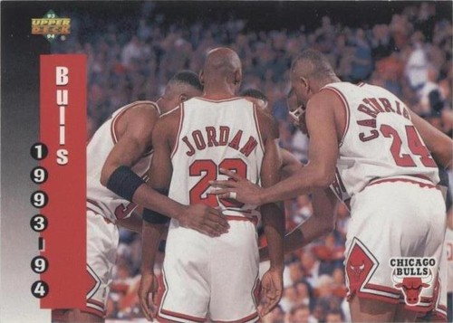 1993-94 Upper Deck - Michael Jordan #213