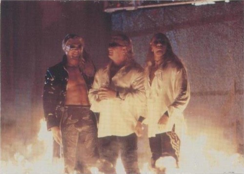 1999 Comic Images WWF SmackDown! - The Brood #69