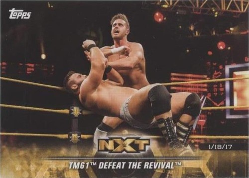 2018 Topps WWE NXT - Tm-61 #25