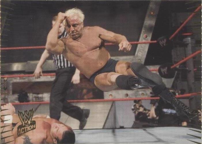 2007 Topps WWE Action - Ric Flair #24
