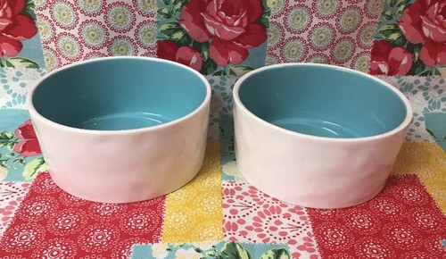 Rae Dunn Set of 2 Pet Dishes Dog~ GULP & FEAST Food Water Bowls~ BLUE Inside