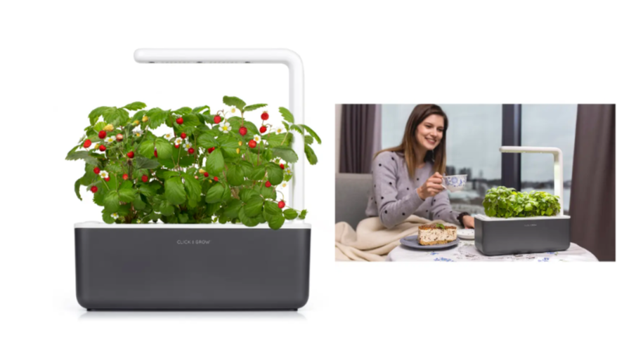 CLICK & GROW Smart Garden 3 Самополивная светодиодная лампа для внутреннего сада (без стручков базилика)