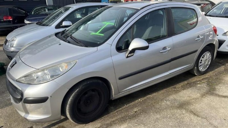 Mastervac Peugeot 207 Phase 1 4535y2