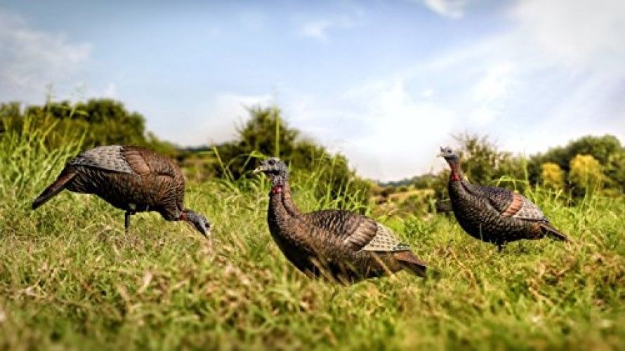 Flextone Game FG-DCOY-00314 Turkey Decoy Thunder Chick Feeding Hen