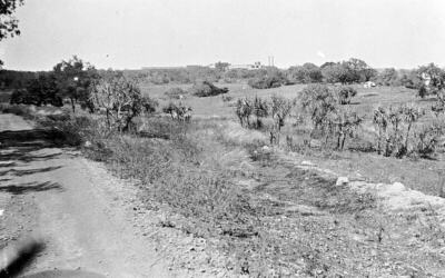 Darwin to East Point Darwin Northern Territory 1935 OLD PHOTO