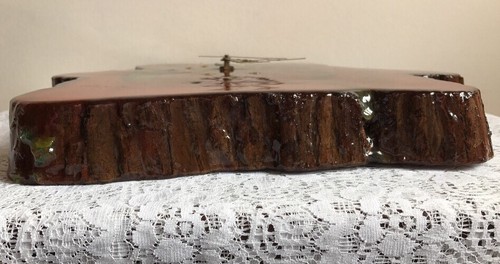 Rustic Log Cabin Scene Cedar Wood Slab Raw Edge Lacquered Wall Clock Florida