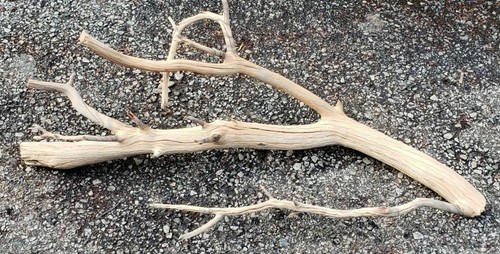 Large Manzanita Driftwood aquarium terrarium aquascape crafts