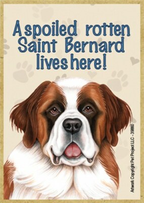 A spoiled rotten Saint Bernard lives here! Fridge Dog Magnet 2.5X3.5 NEW Gift