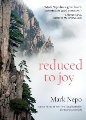 Mark Nepo Reduced to Joy (Paperback) (UK IMPORT)