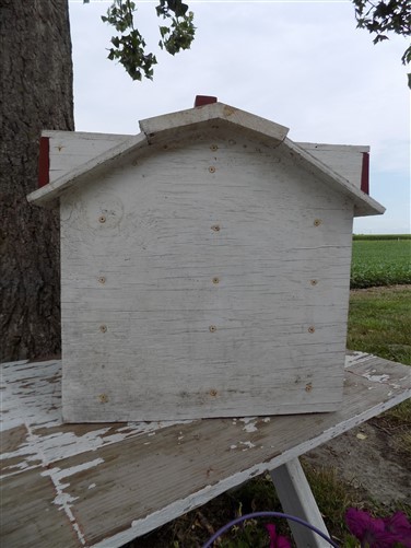 Folk Art Bird House 2 Inch Hole House Finch Red Headed Woodpecker Vintage