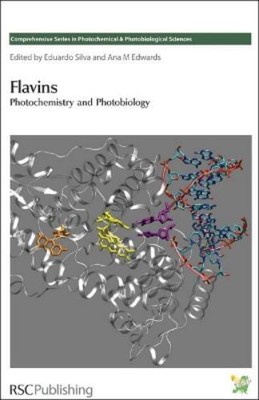 Eduardo Silva Flavins (Hardback) (UK IMPORT)